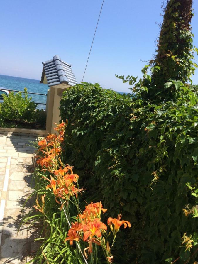 Aegean Blue Villa ปลาตาโมนาส ภายนอก รูปภาพ
